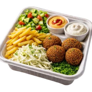 Falafel Platter (Lebanese Style)